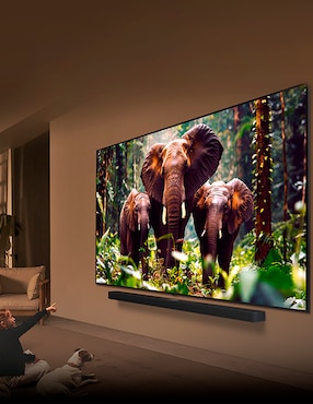 Pantalla smart TV LG QNED de 100 pulgadas 4K 100QNED86AS con evo AI
