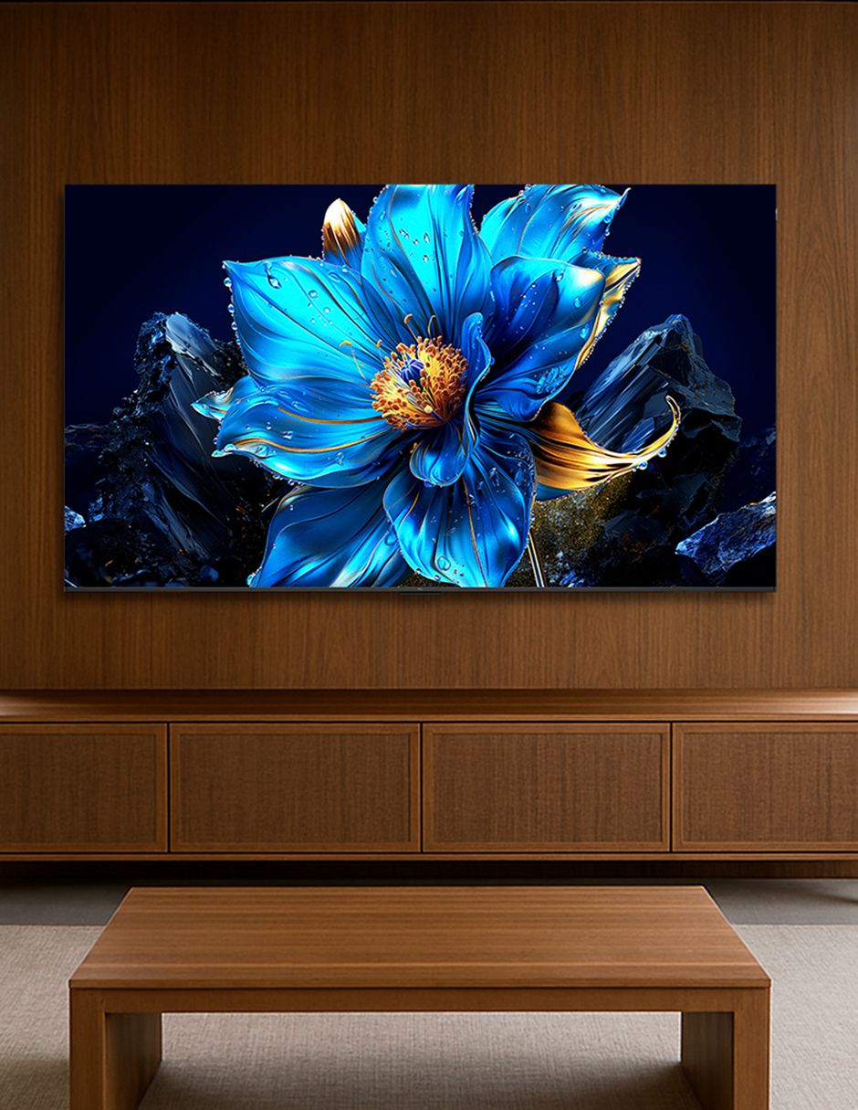 Pantalla QLED de 75 pulgadas 4K/UHD 75Q6K con Google TV 18