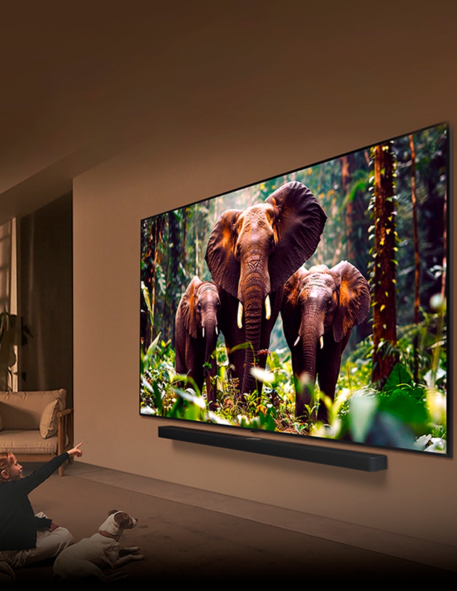 Pantalla smart TV QNED de 100 pulgadas 4K 100QNED86AS con evo AI 2